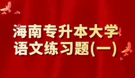 海南专升本大学语文练习题(一).png