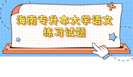 海南专升本大学语文练习试题.png