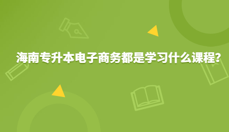 海南专升本电子商务都是学习什么课程？